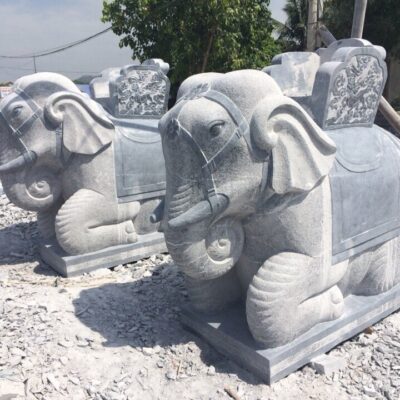 Mẫu Con Giống Đá VT-0220