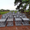 Mộ ngai 50x90
